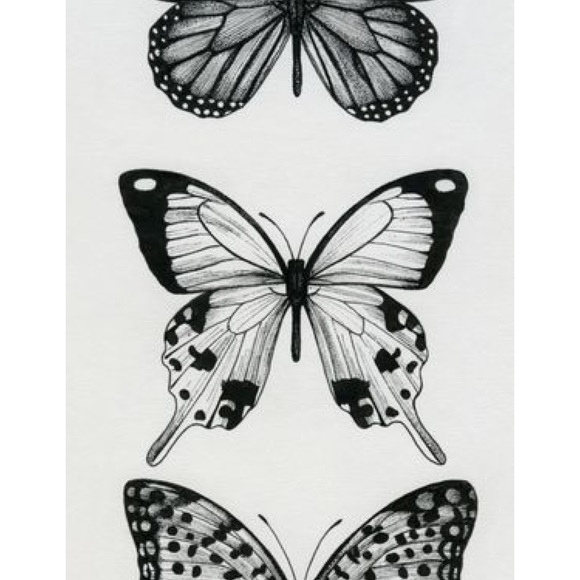 Meet your Posher, Lacy - Picture 1 of 1